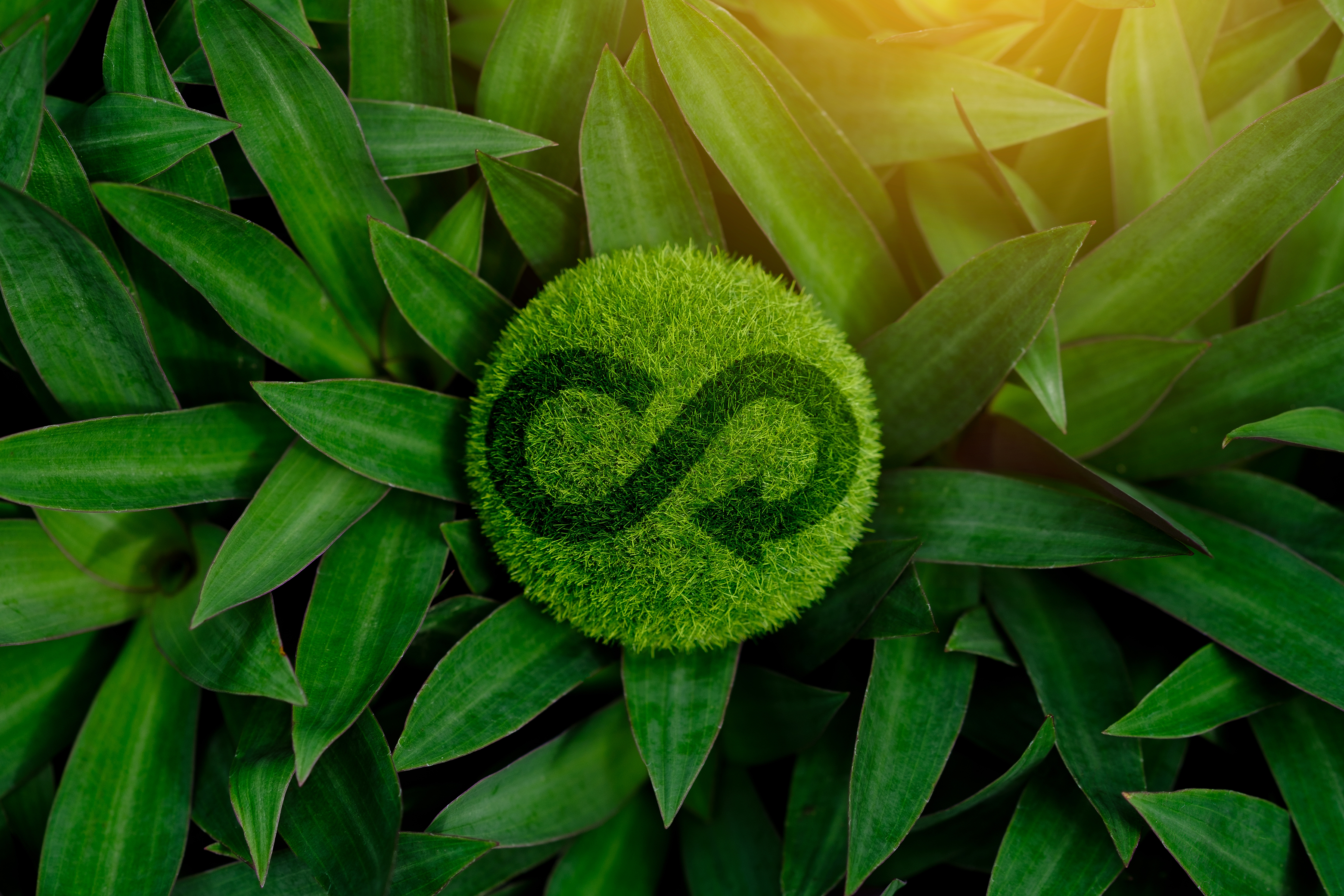 PRESS KIT – ‘Governare la sostenibilità: come le imprese affrontano il processo di cambiamento’